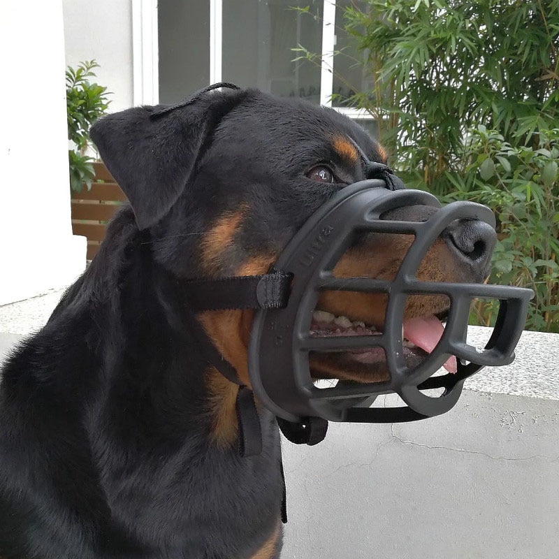 Silikone kurv hund næseparti justerbar &amp; behagelig sikker pasform holdbar letvægts gummi hundemund stop biding sikker træning
