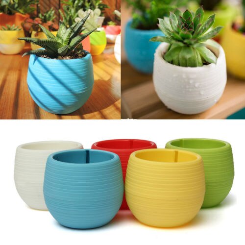 Mini Vaso Rotondo in Plastica - 6 Colori - Piccolo Fioriera per Casa Ufficio Arredo