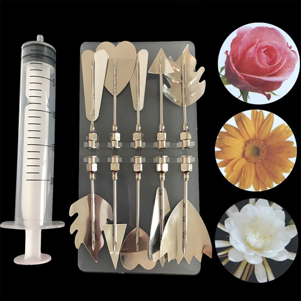 10Stck 3D Gelatine Gelee Kunst Werkzeuge Edelstahl Nadel mit Spritze DIY Pudding Gebäck Düsen Kuchen Dekoration Backen Werkzeuge