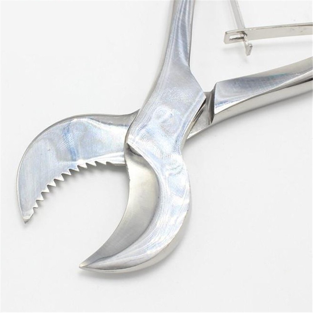 Ciseaux à plâtre pince coupante ciseaux à gypse laboratoire dentaire grand 20 cm petit 16 cm fournitures de laboratoire