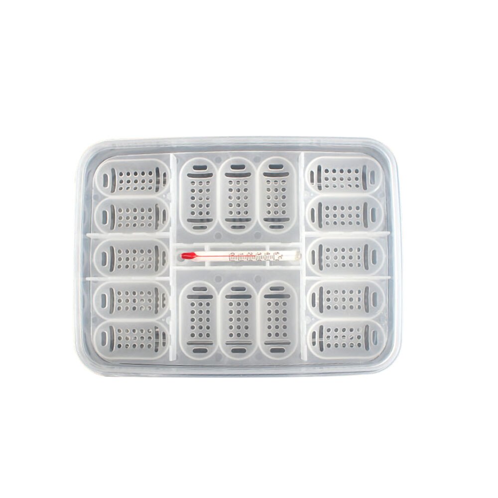 Reptile Egg Incubator Tray With Thermometer Incubating Snake Egg Incubation Tool: with Thermometer