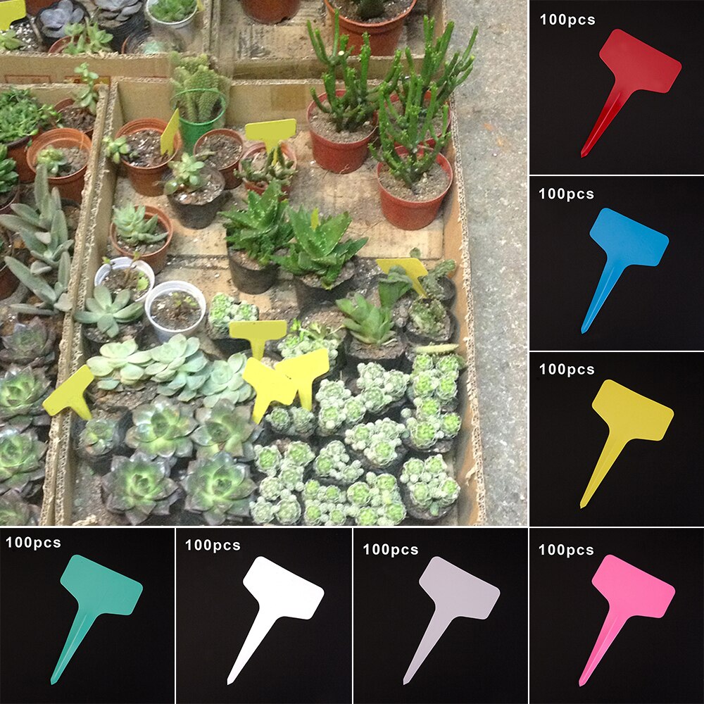 Etiquetas de PVC tipo T para plantas, rotuladores de nombre de Flores para guardería, venta de etiquetas de precios, 100 Uds.