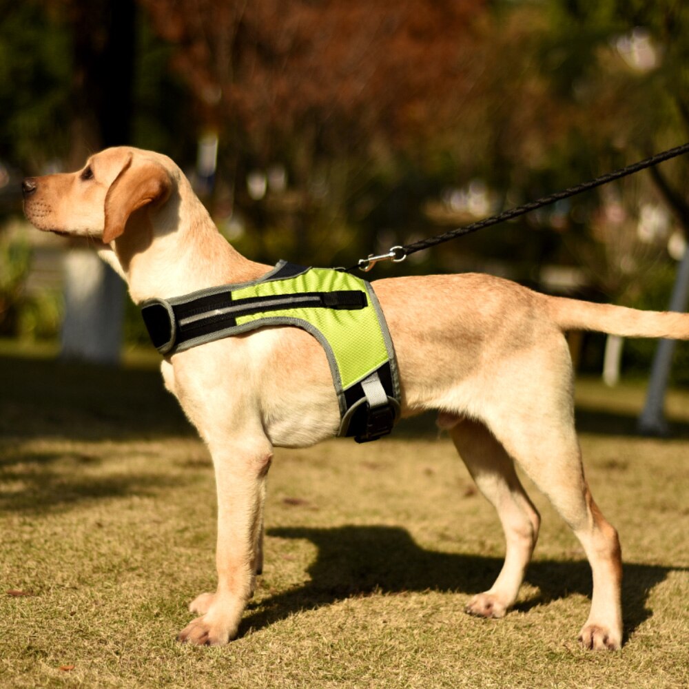 Valoisa led  k9 koiran valjaat koiran kaulapanta turvaheijastin valjaat liivi huskypaimen labradorin keskikokoisille koirille lemmikkitarvikkeet: Vihreä / S