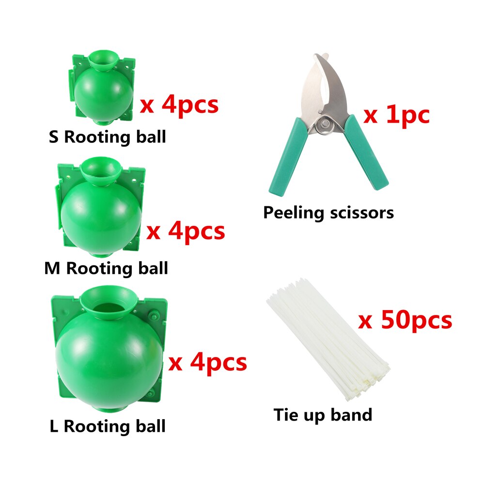 Kit de ciseaux de greffage, boule de croissance de plantes, boîte de Propagation de plantes de jardin, greffage de jeunes arbres, outil de pépinière 3 couleurs: Green