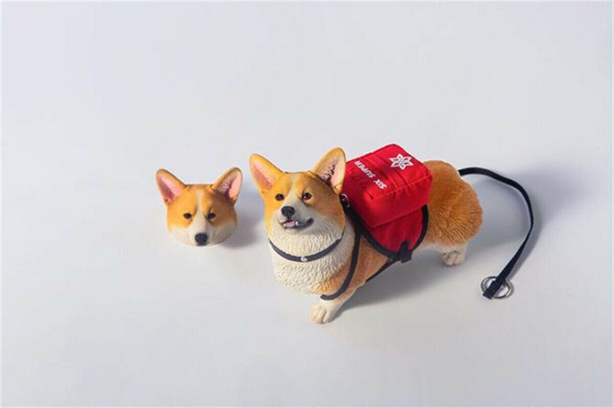 JXK 1/6 Replaceable Head Welsh Corgi Pembroke Model Animal Cute Healing Resin Figure Collector 2022 Decoration Kids Toy: JXK093C