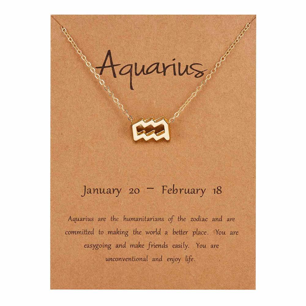 Rinhoo 12 Constellation Necklace Zodiac Sign necklace with Card Pendant Necklace charm Message Card Birthday for Women Girl: gold Aquarius