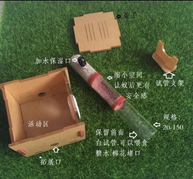 Neue Bambus Ameise Nest Haustier Ameise Acryl Heimat Werkstatt freundlicher Eductional DIY Spielzeug Wissenschaftliche Beobachtung Gerät Spielzeug 20-25-30MM: 1Bambus Sektion 25mm
