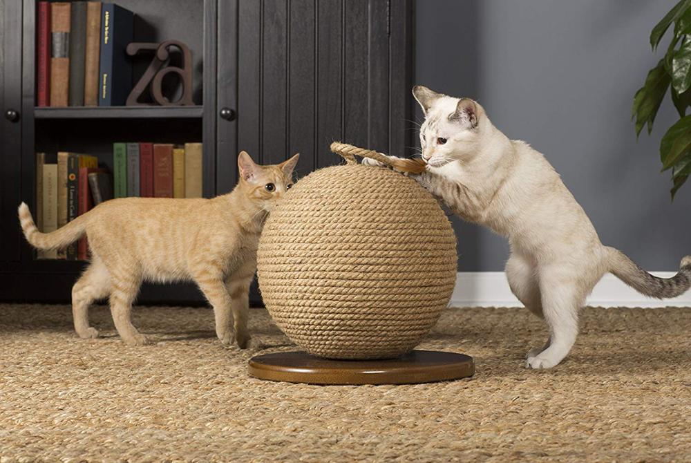 Katt skrape ball kaktus katt skrape ball, kaktus ball katt leke morsomt kjæledyr interaktivt leke skrape ball flott