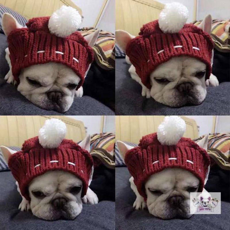 Hætter jul kæledyr hund hatte kostume hund tilbehør uld hvalp hat med kuglehovedbeklædning til små hunde fransk bulldog