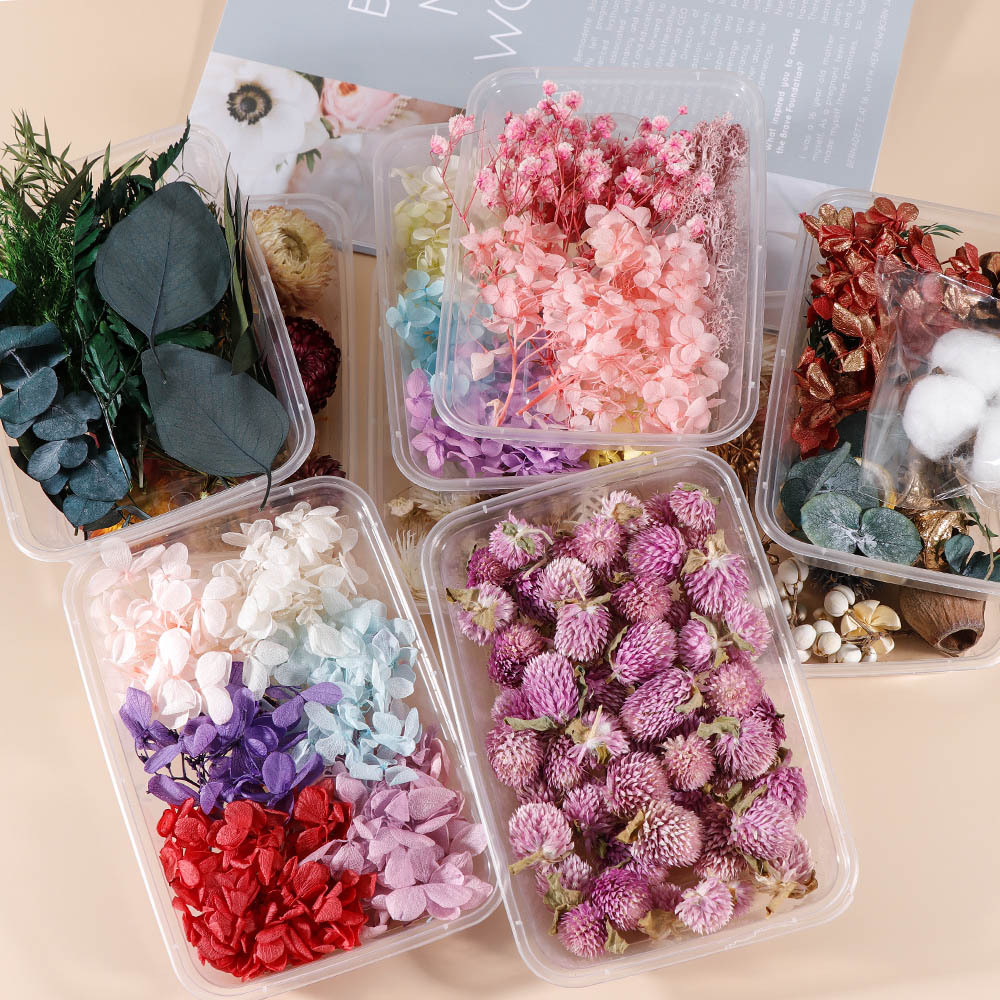 Lajitelma kuivattuja kukkia kukka täyte hartsi askartelu laatikko pakkaus uv hartsi diy riipukset korttien valmistus korut käsintehdyt kynttilät deco