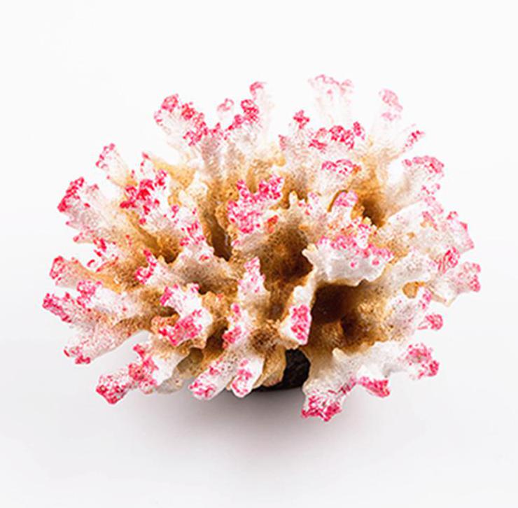 Harpiks blomst koral akvarium dekoration sten akvarium koralrev ornament koral plante akvarium baggrund dekoration diameter 11cm: Hvid