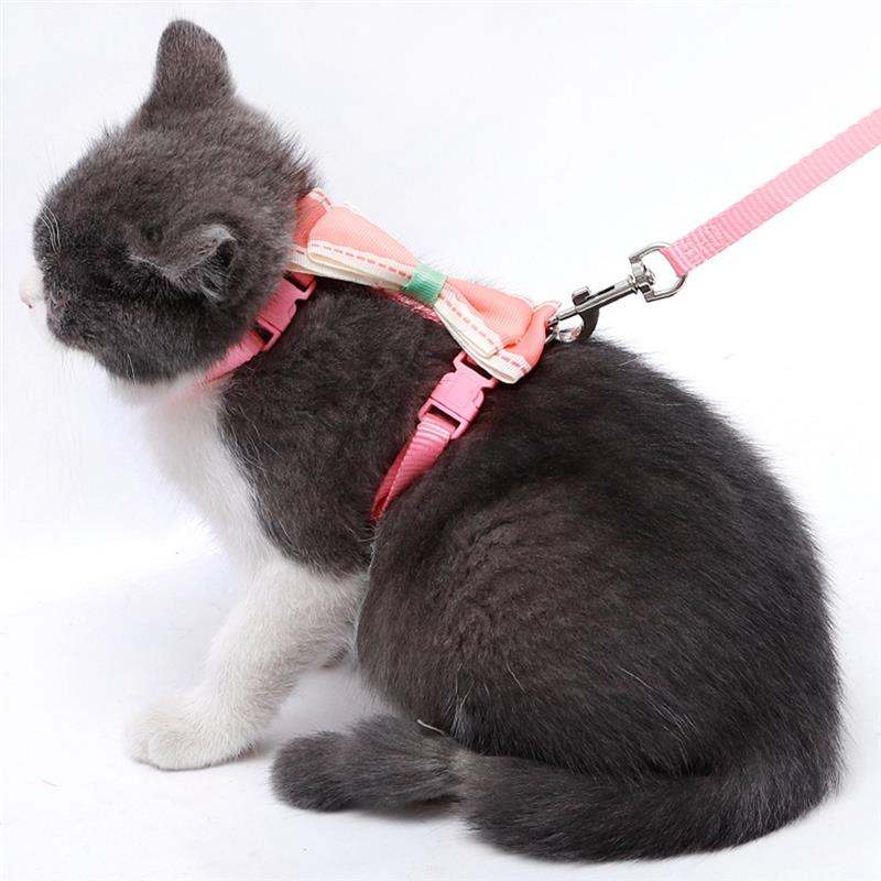 Dorakitten 1Pc Draagbare Kat Riem Leuke Strik Decor Kat Leiband Huisdier Aangelijnd Harnas Set Kleding Accessoires Dierbenodigdheden