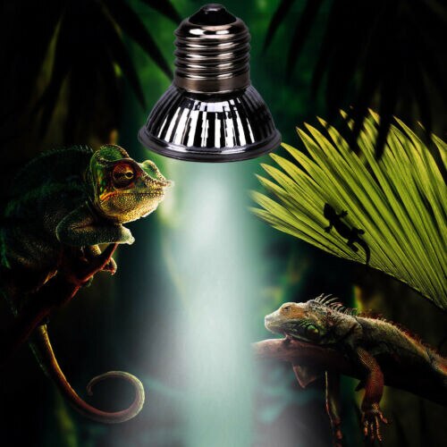 25/50/75w uva+uvb varmesender lampe pære lysvarmer til kjæledyr reptil ruger