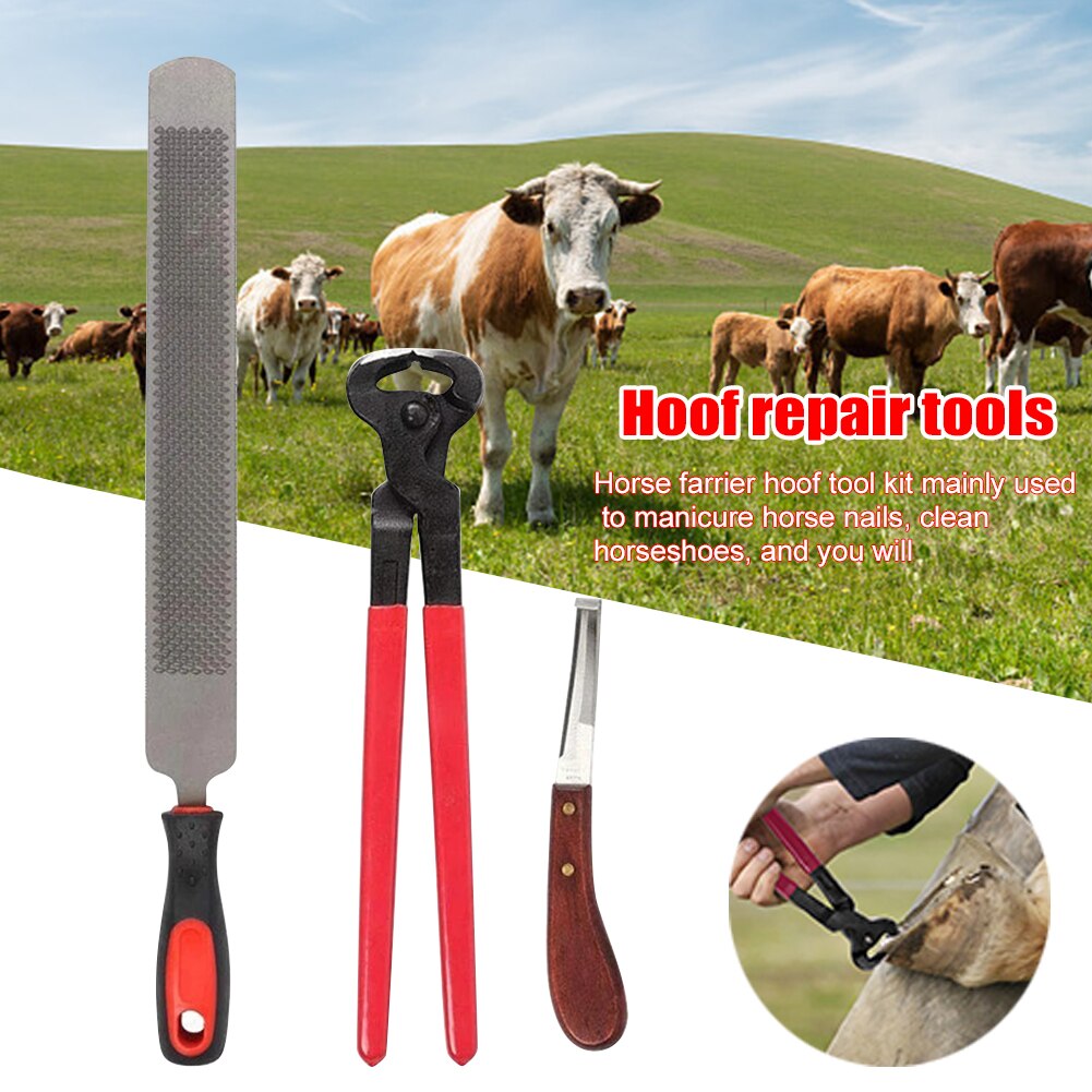 3pcs Horse Cattle Cleaning Equestrian Hoof Trimming Set Care Tool Manicure Shoeing Repair File Rasp Metal Nipper Cutter Farriers
