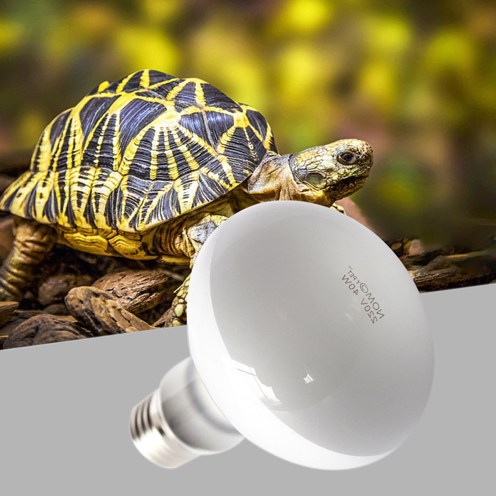 Neue Heizung Lampe UVA + UVB Tageslicht Lampe Für Schildkröte Eidechse Reptil Heizung Glühbirnen Amphibien Temperatur Regler 220V