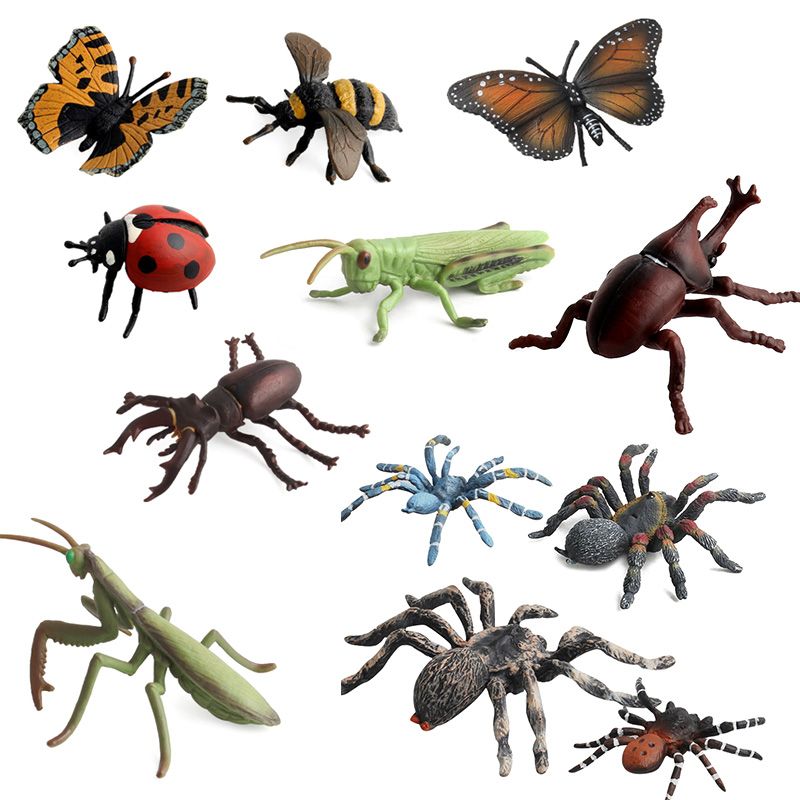 12 st/lot insektsmodeller figurer kognitiva djurleksaker för barn leksaker för tidig utbildning 72xc