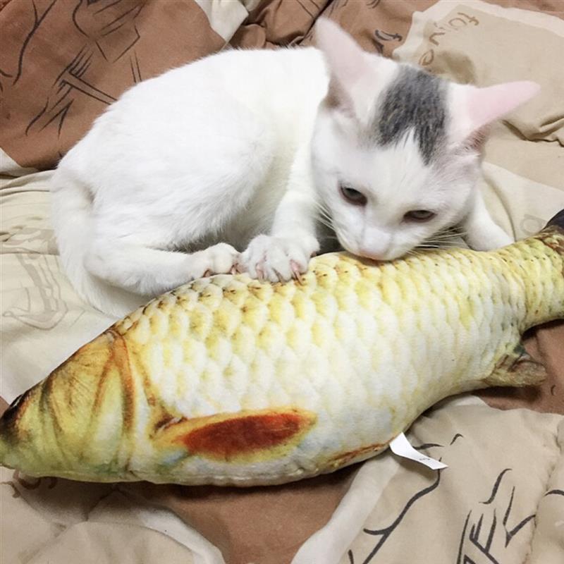 Husdjur mjuk plysch 3d karp fisk form kattleksak kattmynta fisk stoppad kudde docka simulering fisk leksak för husdjur