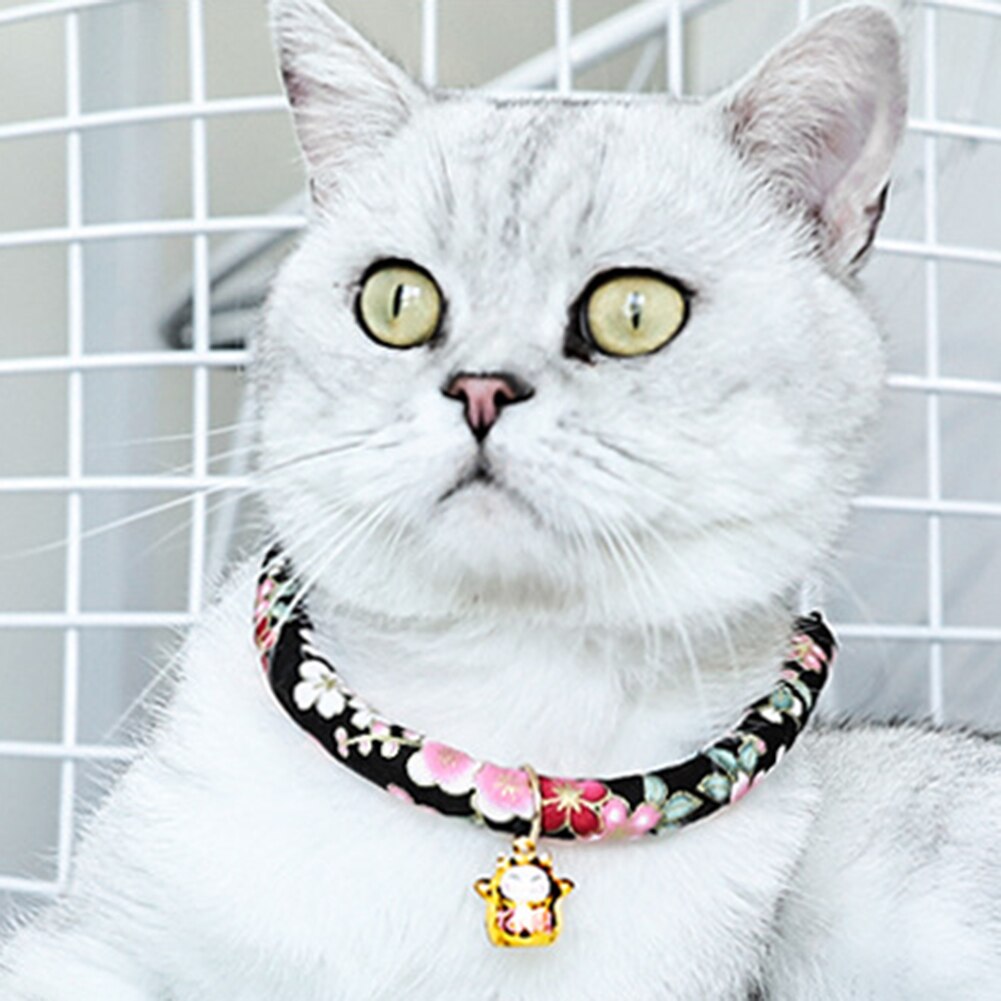 Nette Katze Halsbänder mit Mond Anhänger Einstellbare Sicherheits Kätzchen Kragen Welpen Chihuahua Raabit Halskette Mit Glocken Haustiere Zubehör
