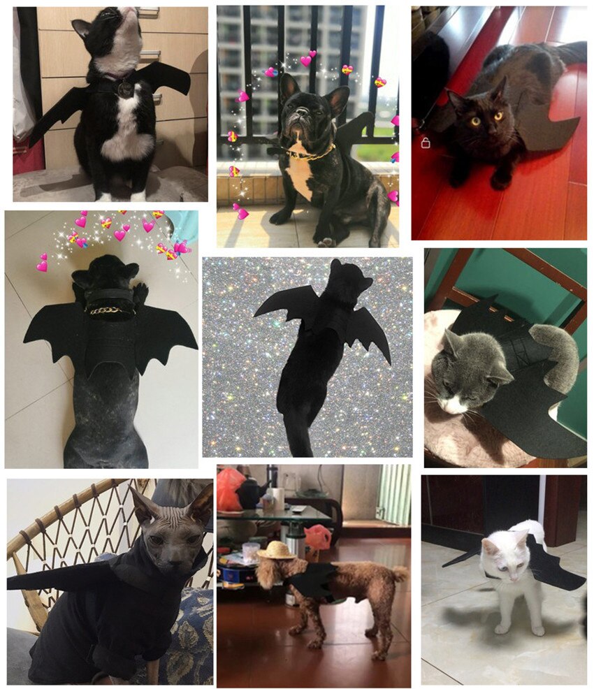 Disfraz Gato Halloween Tealots Disfraz De Halloween Para Perro, Alas De  Murciélago Para Mascotas, Ajustables, Divertidas, Alas De Murciélago, Traje  De Fiesta De Disfraces Para Perros Pequeños, Medianos Y Grandes (negro, XL, image size:850x986