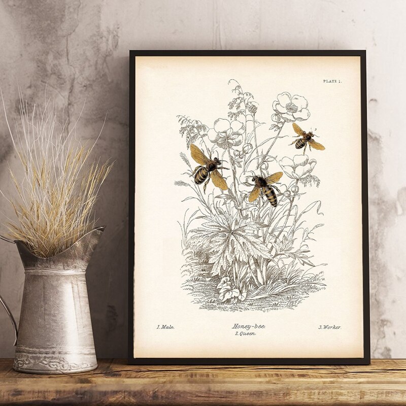 Vintage Insect Bee Poster Prints Natuurlijke Onderwijs Painting Reproductie Biologie Print Kraftpapier Poster