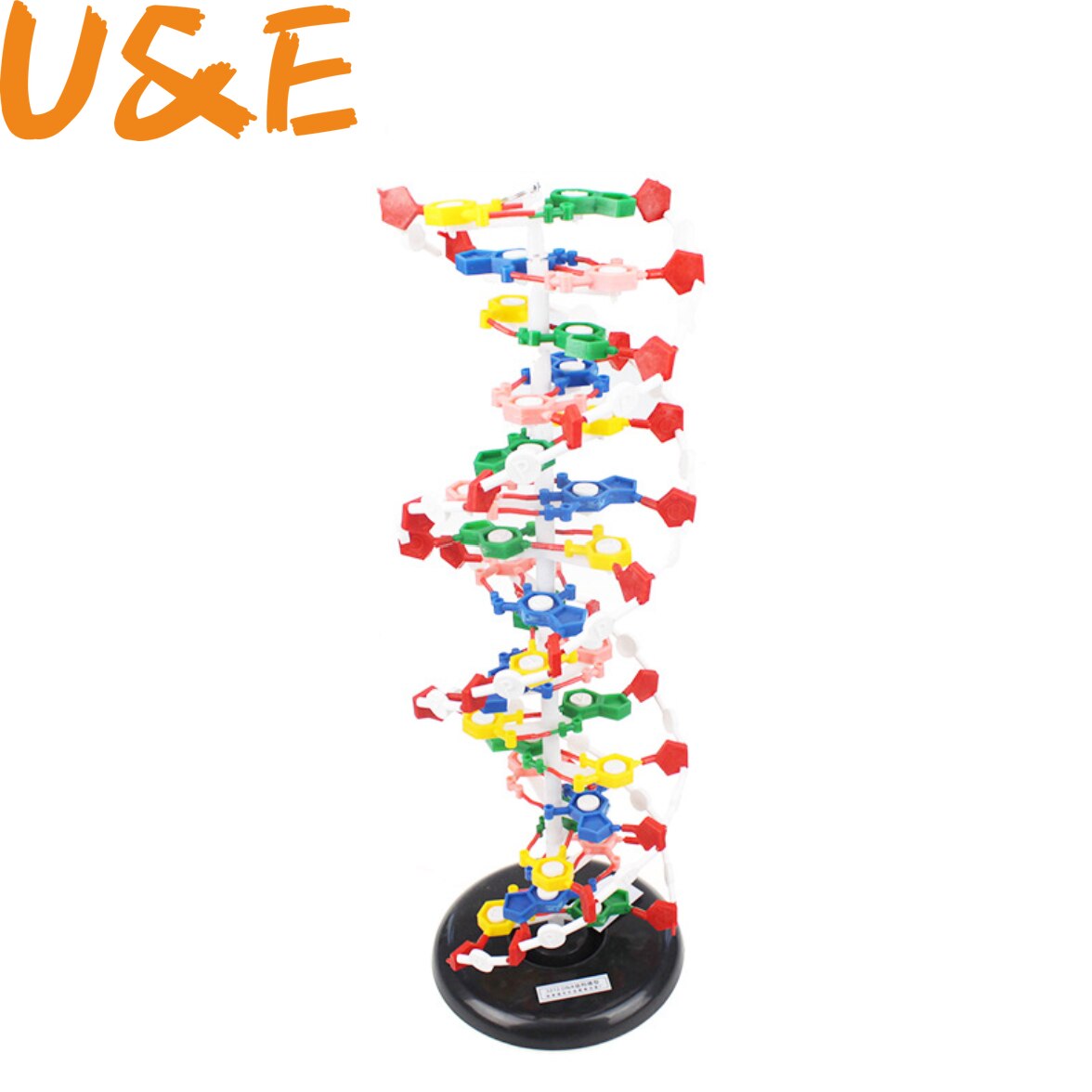 DNA double helix structure model 60cm cm cm genetic biology teaching instrument