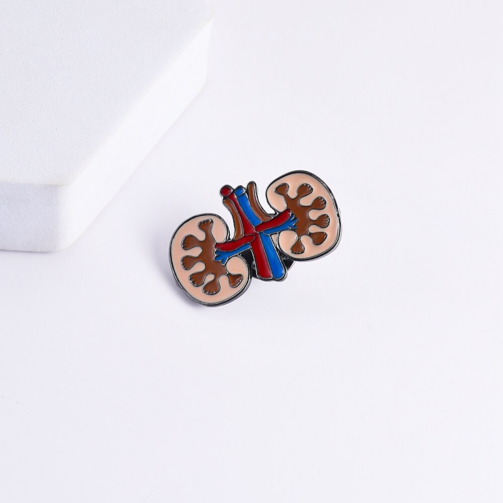 Hanreshe Medische Emaille Lung Nier Broche Pins Bloedvaten Menselijke Organen Anatomie Revers Badge Sieraden Voor Artsen Verpleegkundigen