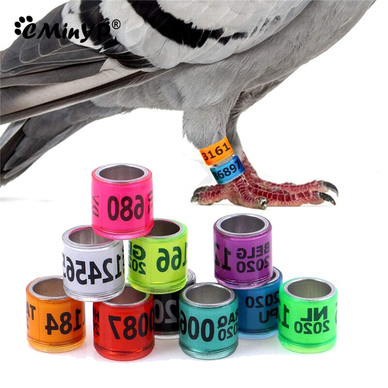 20Pcs Training Duif Voetring Plastic & Aluminium Vogel Been Bands Voor Chicks Bantam Vink Duif Dwergpapegaai Kwartel Kleine gevogelte 8Mm