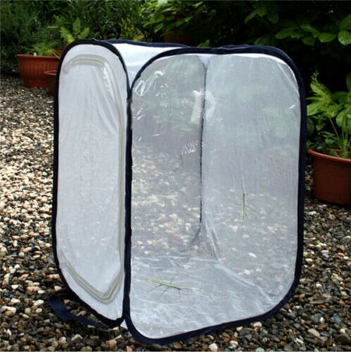 Newest Foldable Mesh mantis Cage For Insect//Praying Feeding Housing Enclosure: Black / M