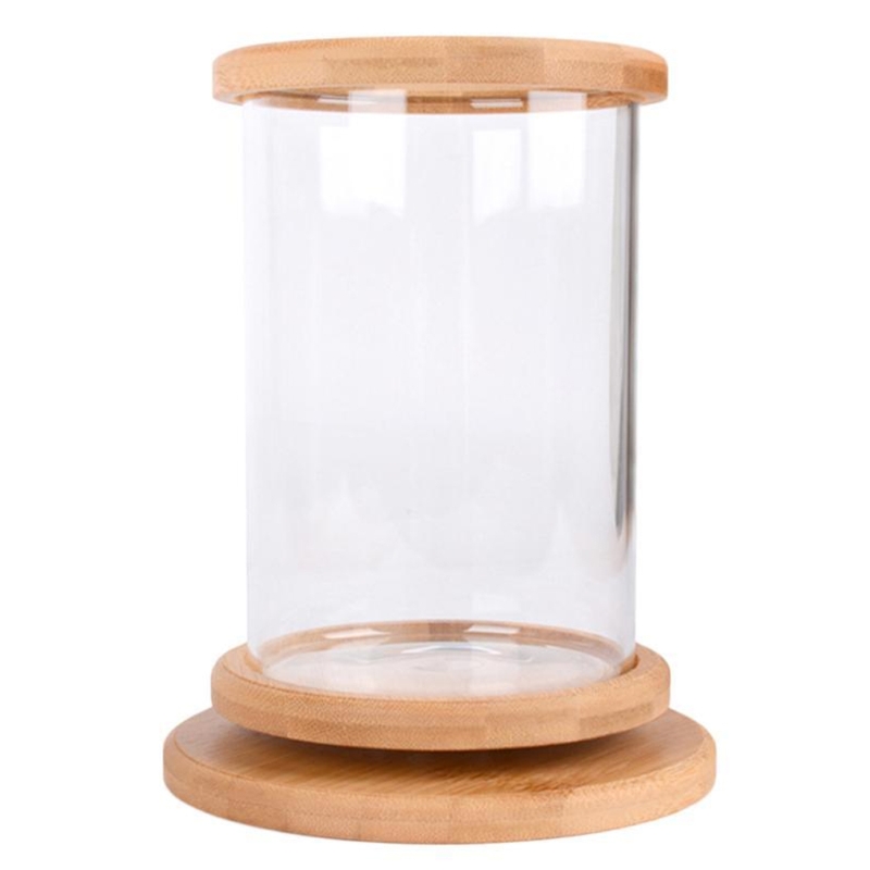 Betta-pecera de escritorio con Base de madera para peces pequeños, Recipiente cilíndrico de vidrio transparente con vista de 360 °, 3 tipos: 01