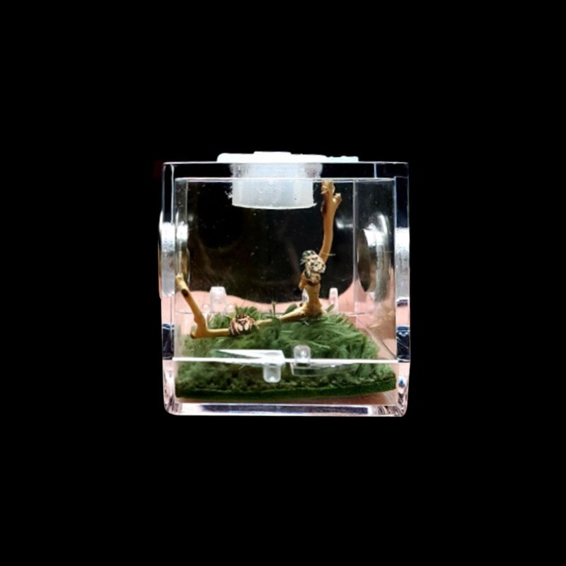 G5AB Jumping Spider Habitat Feeding Cage Acrylic Transparent Breeding Box with Top Feeding Port for Spiders Small Insects