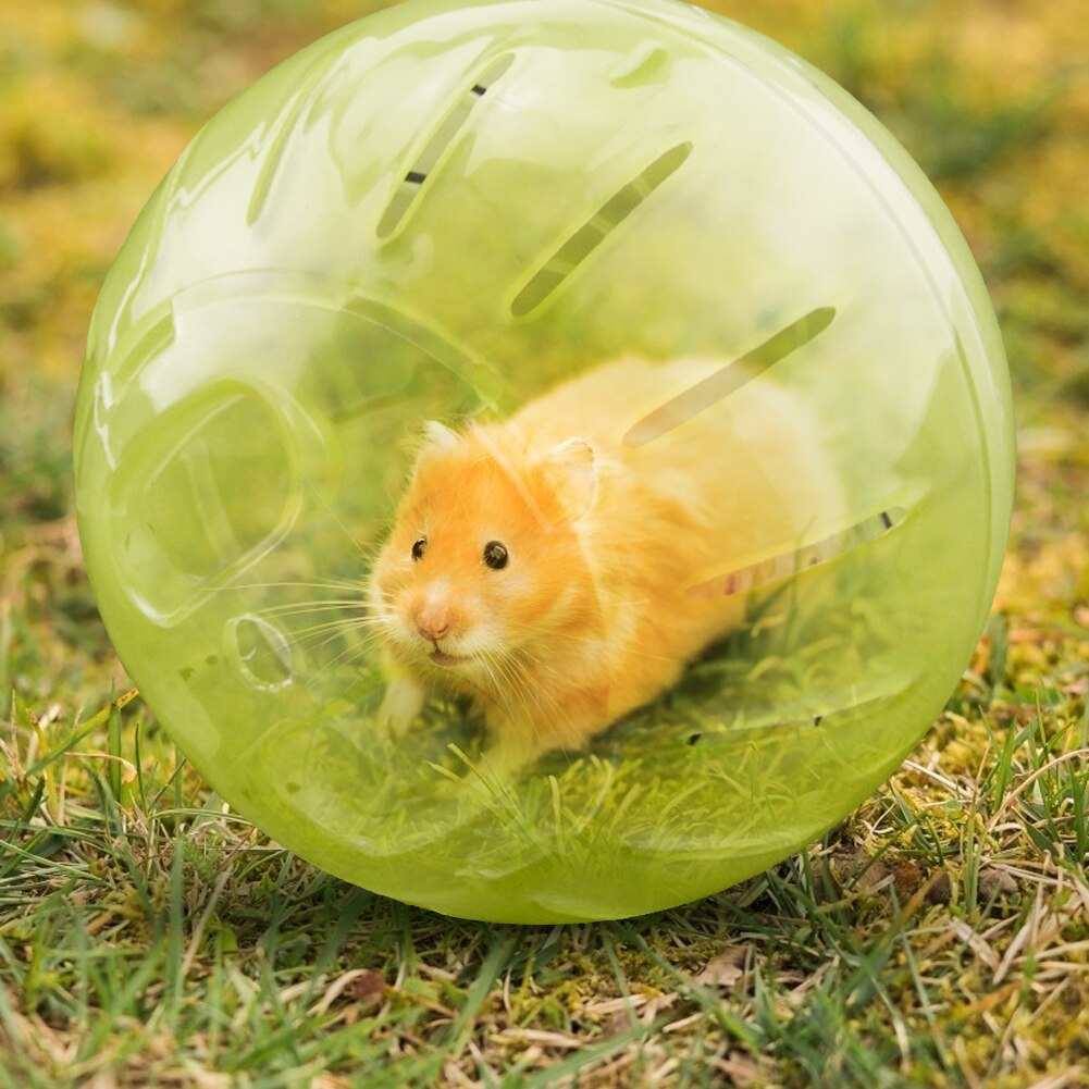 Hamster ball leker 10/12cm antistress kjæledyr trening jogging løpeballer for små kjæledyr chinchilla gnager rotte mus produkter