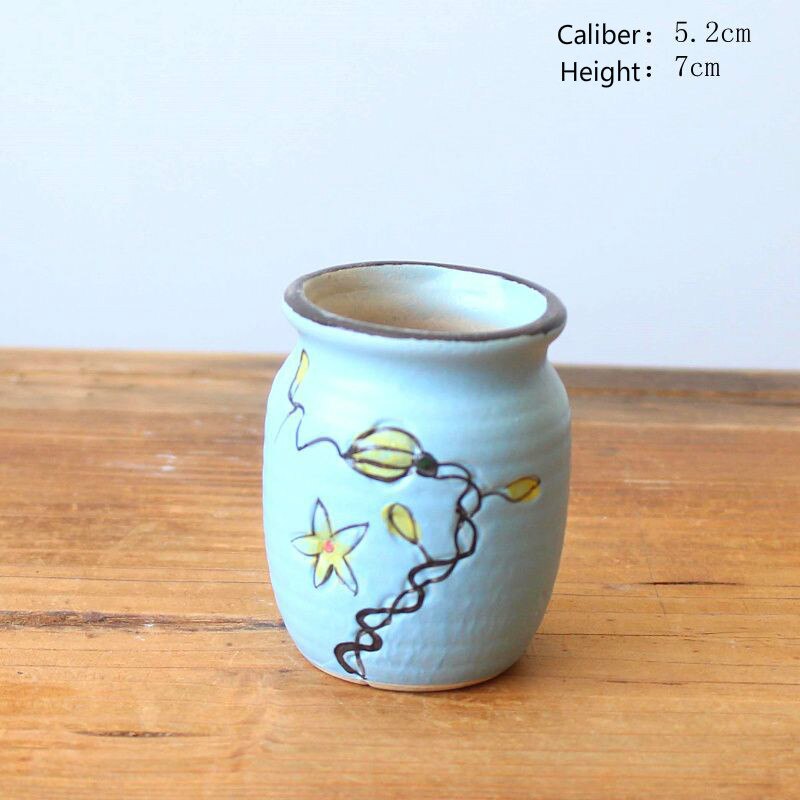 Home and Garden Nursery Pot Desktop Small Pot Green House Growing Kit Garden Supplies Pot for Orchid Plant Seeder Desk Decor