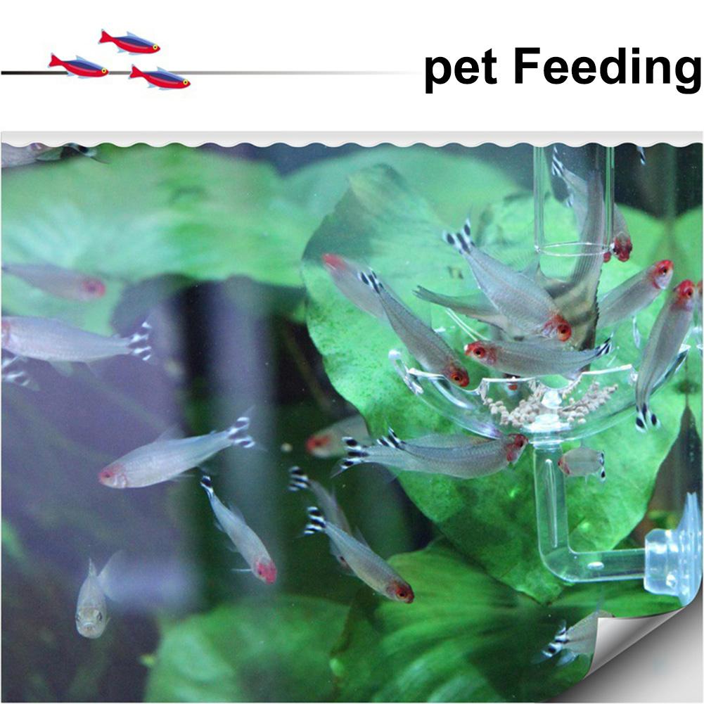 Fish Tank Feeder Aquarium Shrimp Acrylic Feeding Bowl Flower Shape Floating Feeding Cup Holder With Sucker Fish Food Aquarium