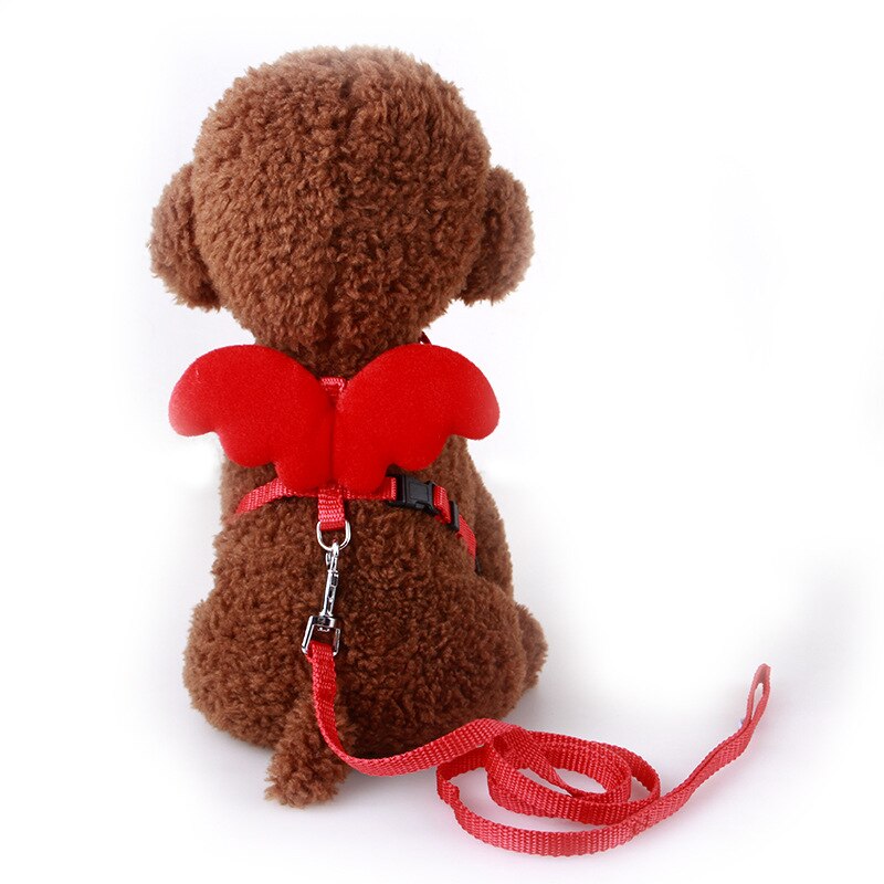 Laisse pour animaux de compagnie, petit ange, sangle de poitrine, ailes, ensemble de harnais pour chien, chat, lait, petit chien, corde pour Mini chien, chiot, fournitures: Red / S