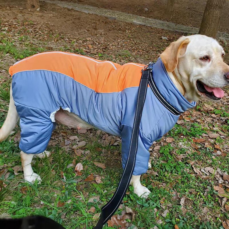 Hundebekleidung fr Hhle Winter, Gesamt fr hunde...  Grandado