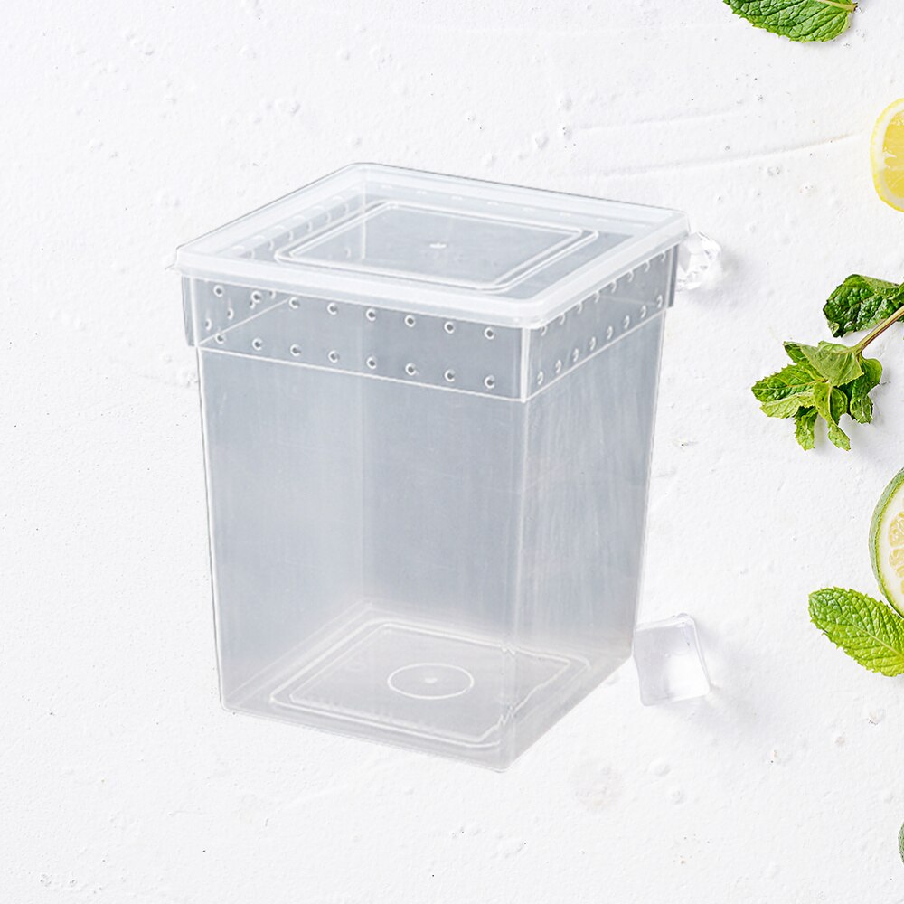Reptile Box Climbing Pet Feeding Container Special Transparent Breeding Box for Spider Lizard Tree