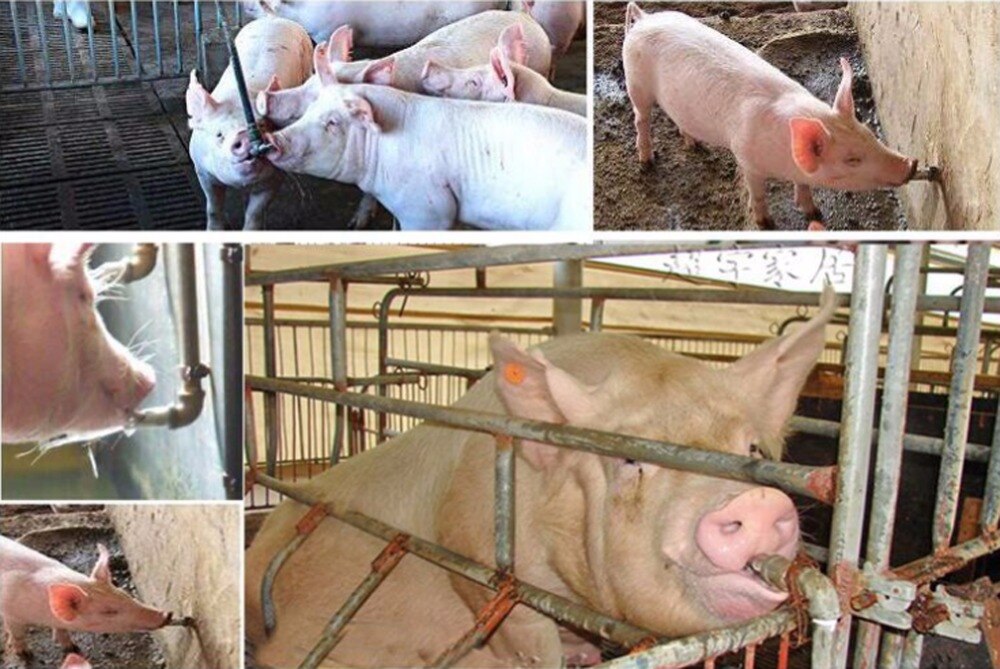 1Pcs 1/2" Thread Pig Hog Steel Automatic Waterer Drinking Fountains Nipple Drinker Livestock Supplies