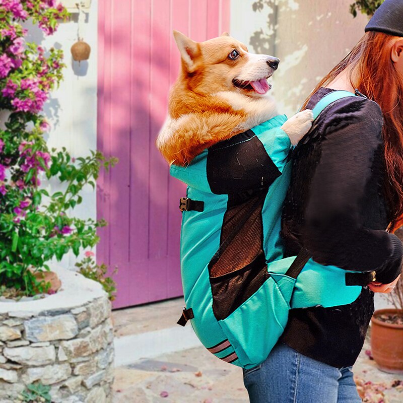 Sac de transport pour animaux de compagnie, sac à dos Durable et respirant pour petits et moyens chiens bouledogue français Shiba Inu, accessoires pour animaux de compagnie,