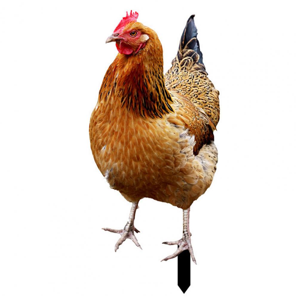 Ornamental Eco-friendly Rooster Decor Garden Statue Chicken for Garden: GRAY