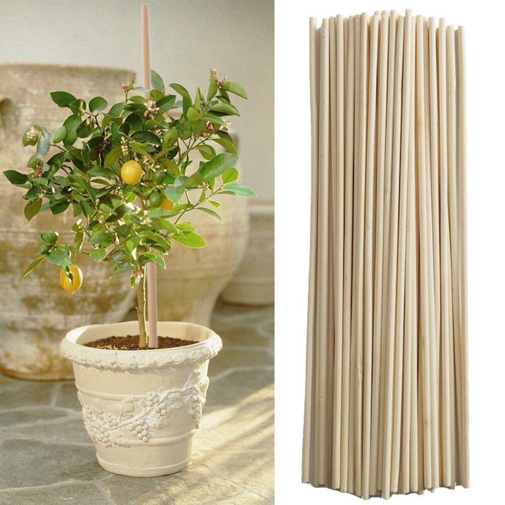 50 st bambu växt växa stödpinnar trädgård krukväxter blommor sockerrör verktyg