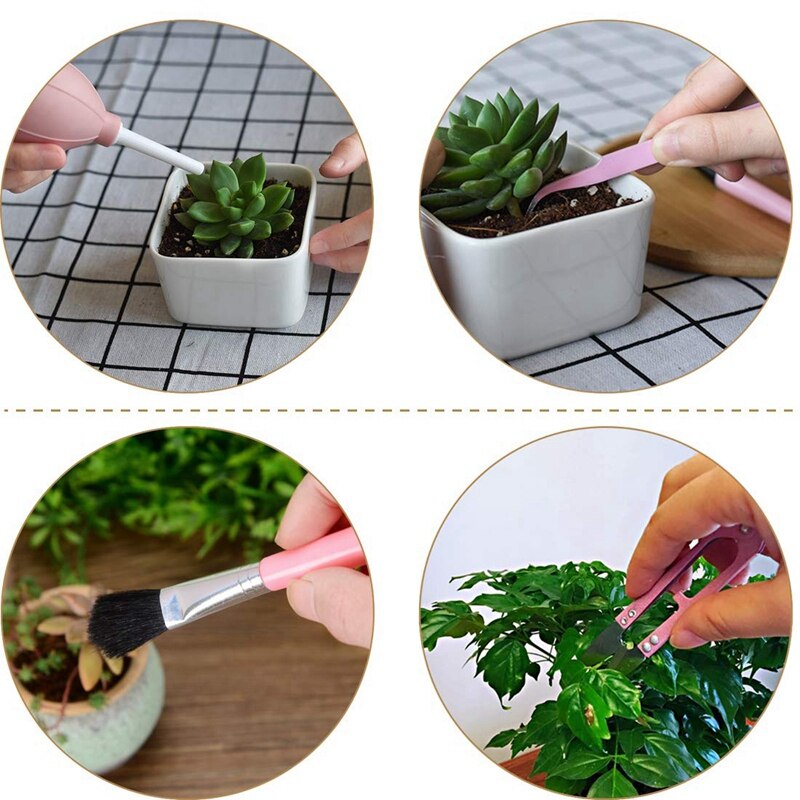 Beste 12 Stück Mini Garten Hand Umpflanzen Sukkulenten Werkzeuge Miniatur Pflanzung, einstellen für drinnen Gebühr Pflege, Blumenerde, kaktus, ho