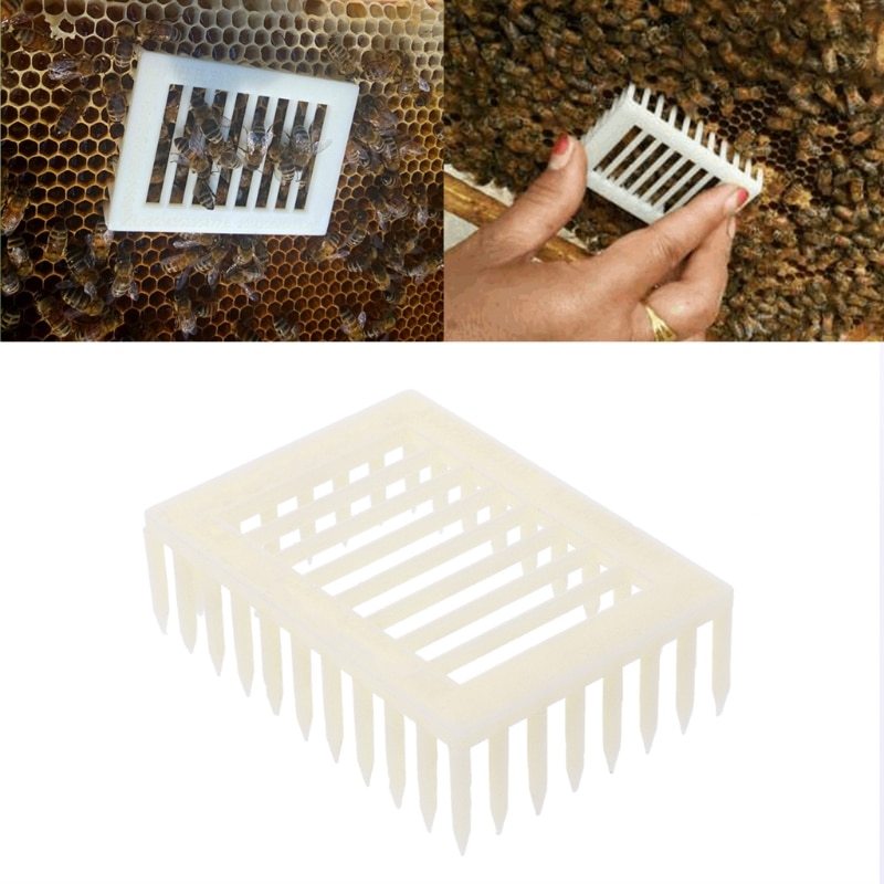 Caja de abeja tipo aguja carcasa indicadora de reina de plástico Clip receptor de abejas equipo de herramientas de abeja Apicultura