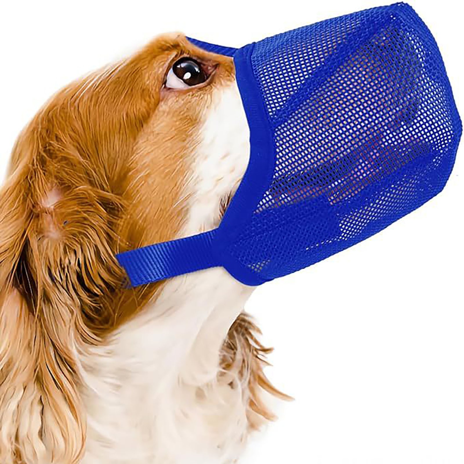 Adjustable Dog Mouth Cover Anti-Bite Pet Mask Portable Proof Breathable Drinking Water Pet Muzzle Practical Outdoor Pet Supplies: 4XL / Blue