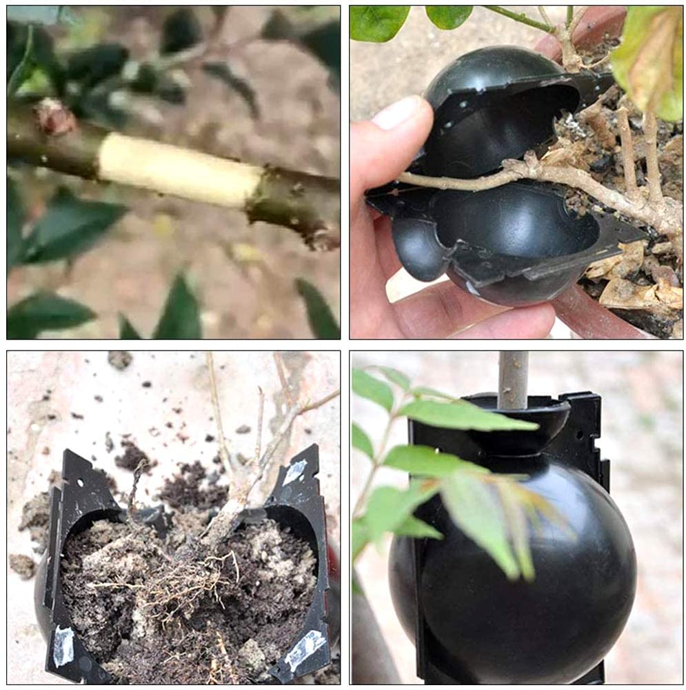 1/3/5/Pcs Plant Rooting Ball Root Grafting Growing Box Breeding Case Plant Root Device Layer Pod High Pressure Ball for Garden