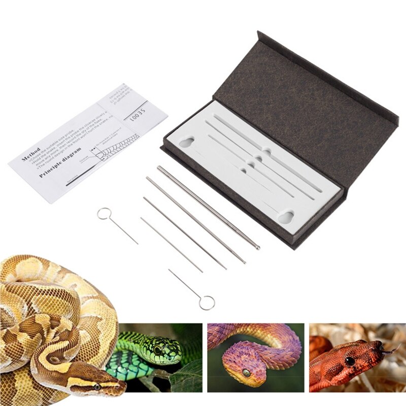 6 pièces serpent genre détecteur sonde Reptile sexe détection jouet pour Python vert bambou serpent ramper