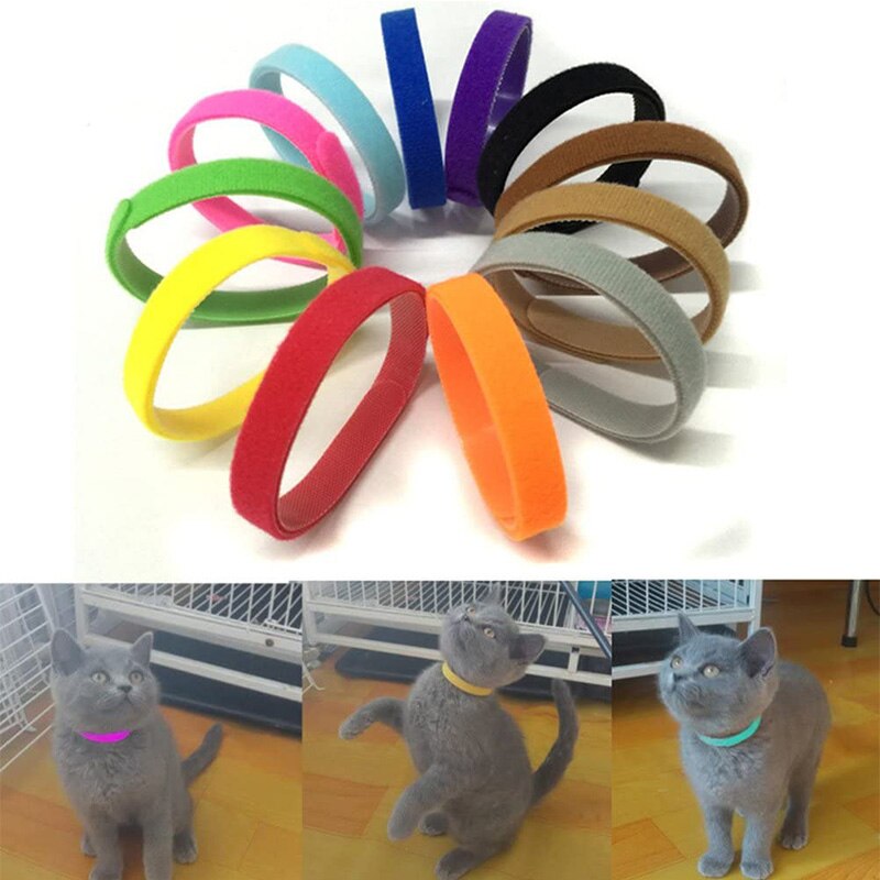 12 Kleuren Huisdieren Id Halsbanden Bands Whelping Kragen Multi Gekleurde Identificatie Puppy Kraag Drachtig Voor Hond Kitten