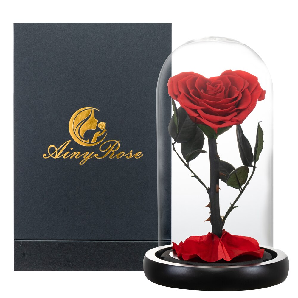AINYROSE Heart Shaped Preserved Rose Beauty and The Beast Eternal Rose Wedding Artificial Flowers Valentine Christmas: Red Rose w Gift Box