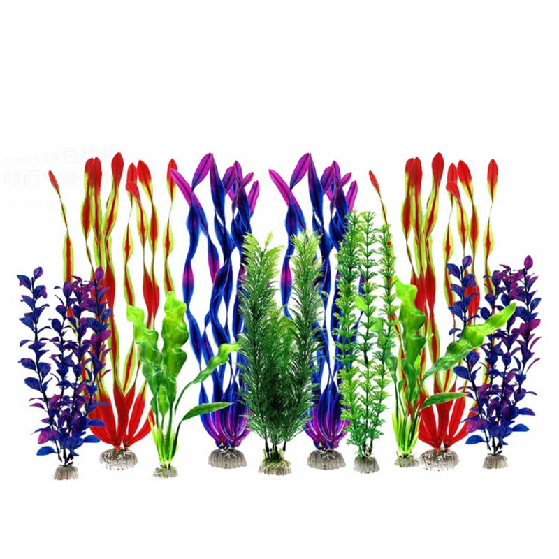 Gras - Aquarium-decoratie kopen? | Korting tot 65