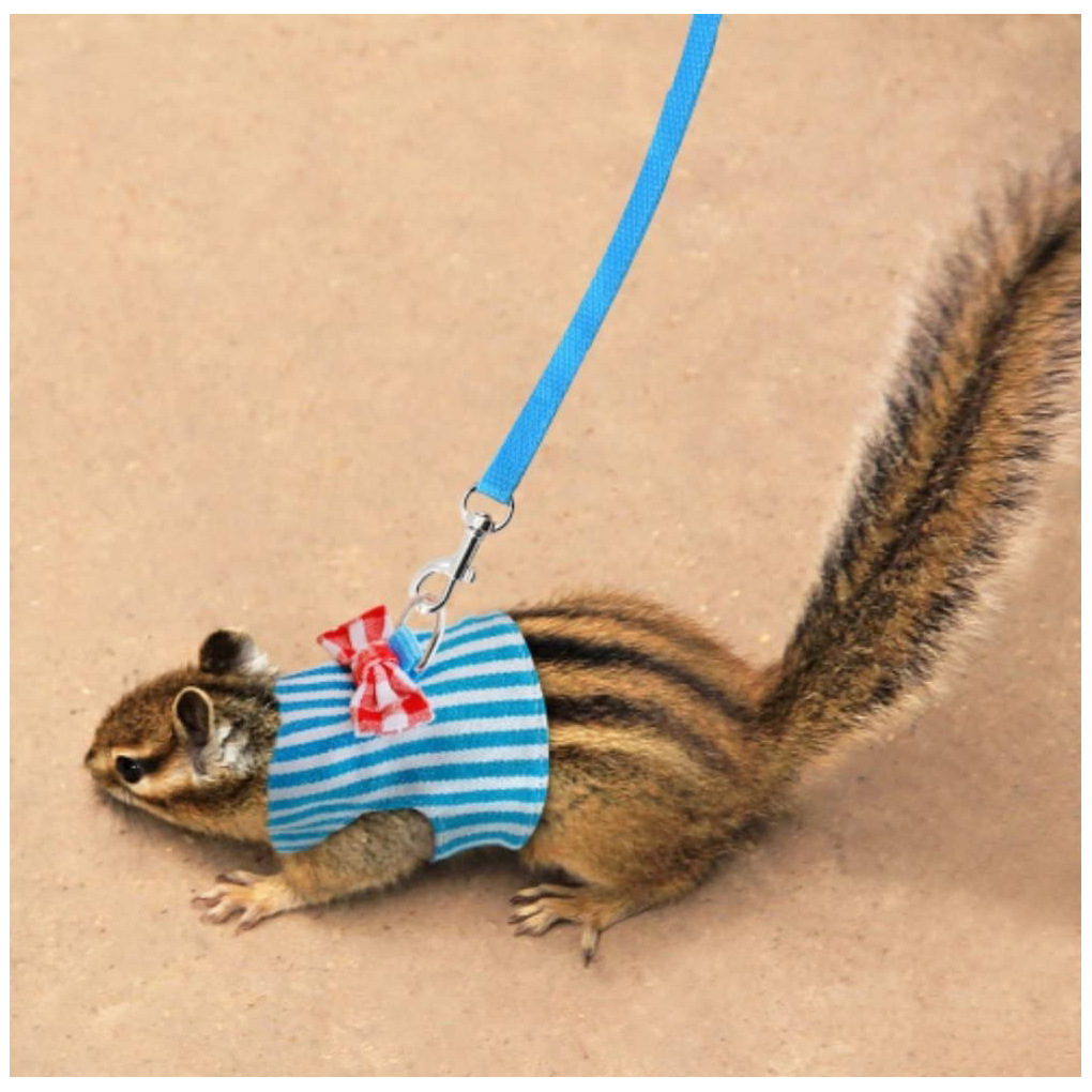 Kleine Huisdier Konijn Hamster Bowtie Gestreepte Ster Harnas Vest Leash Trekkabel voor Baby Fretten Huisdier Ratten Strik Borstband