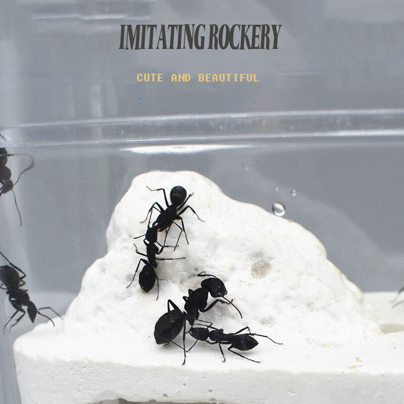 Ant House Ant Home Castle Eco Box Ant Nest Factory Cultivate Children's Interests Queen Ant Box Ant Workshop Pet Supplies